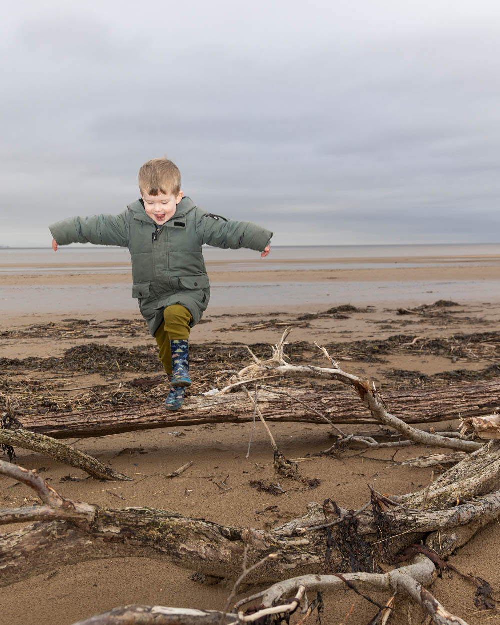 Nursery Garden showing bunting and plants